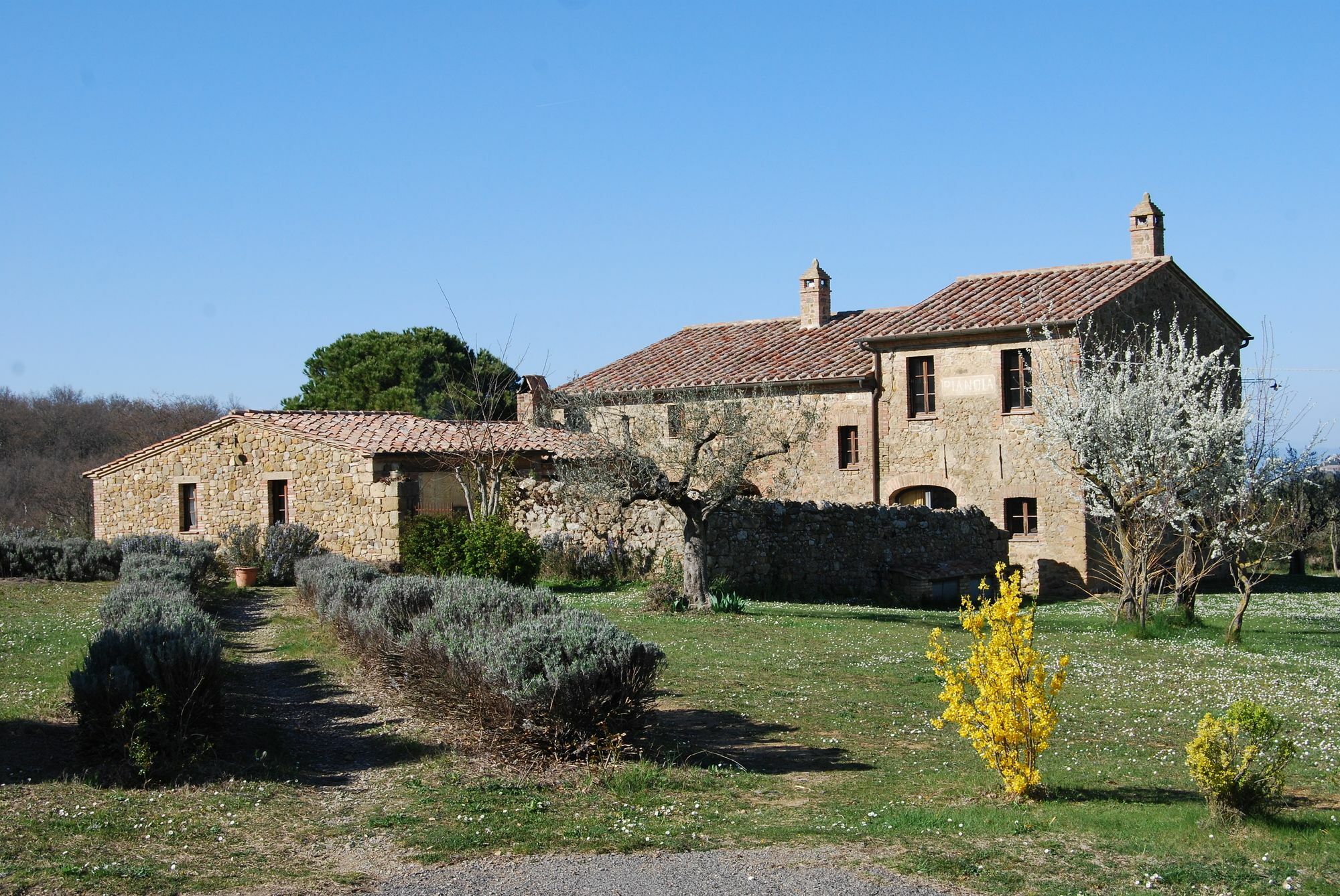 Agriturismo Pianoia بيينْسا المظهر الخارجي الصورة